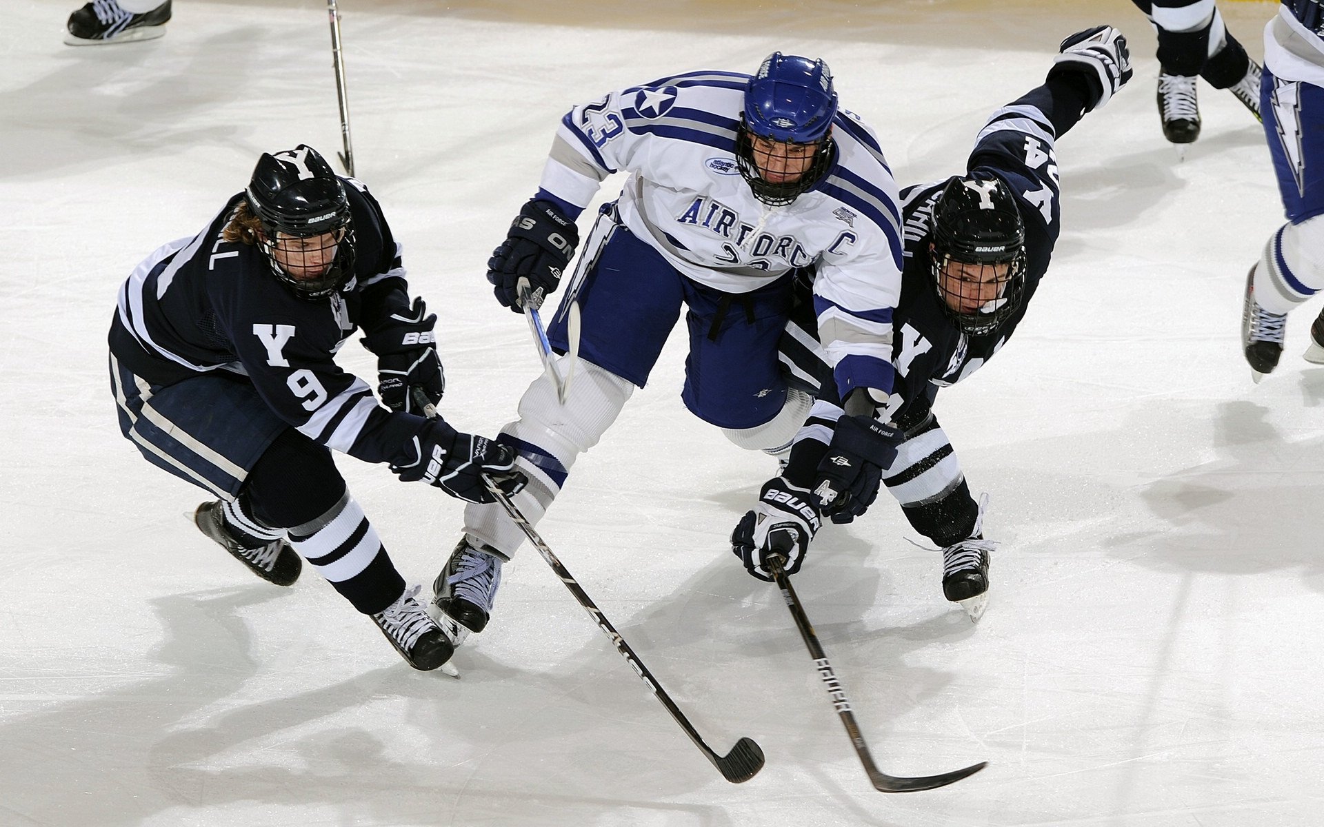 全运会准备工作紧张有序进行，全运会备战