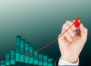 开云注册网址-体育公益项目影响力持续扩大，体育公益组织